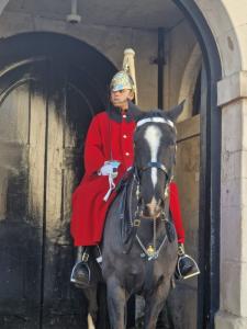 horse_guard_in_london.jpg